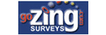 Zing Wireless Inc.